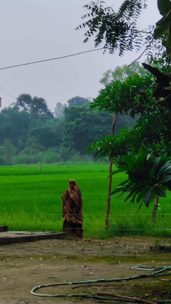 Rural Indian farmer standing before vibrant green agricultural fields